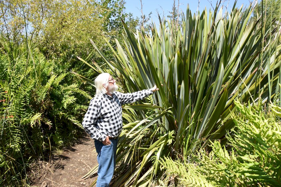 Puerto Varas, Arvid sen.