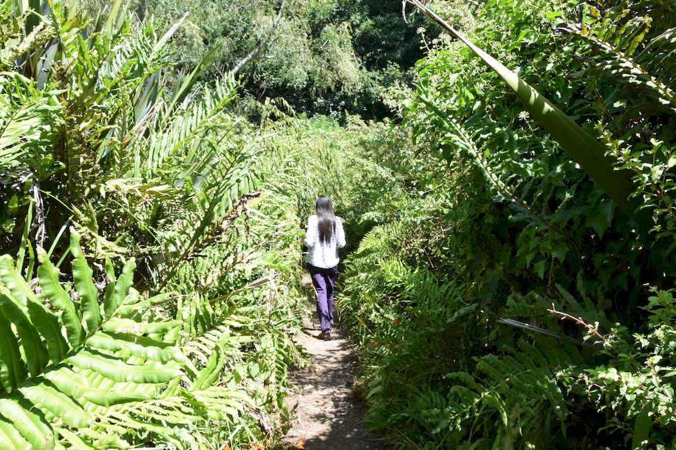 Botanischer Garten in Valdivia, Alejandra