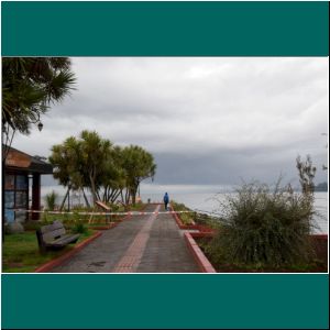 Mole bei Regen am Lago Llanquihue, 10.4.20