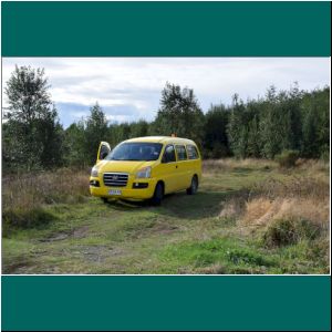 Puerto Varas, Monte, Wald, Hyundai H1, 28.4.20