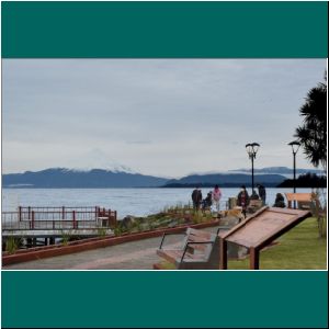 Mole in Puerto Varas, 27.6.20