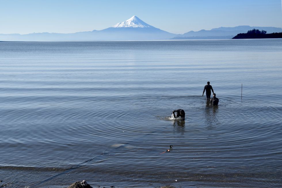 l76ap-0805-1-Lago-Llanquihue-Rohrverlegung-3-6-m.jpg