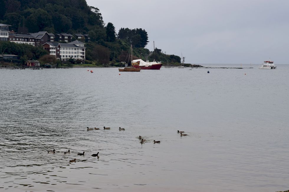 l97ap-0936-1-Lago-Llanquihue-Enten-20-6-m.jpg