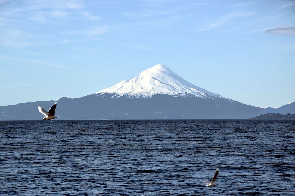 m39ap-0166-1-Osorno-Gaviotas-2-8-m.jpg