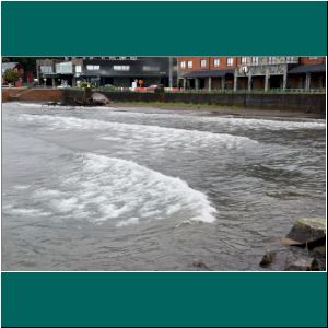 Windig war es heute am Lago Llanquihue, 29.9.20