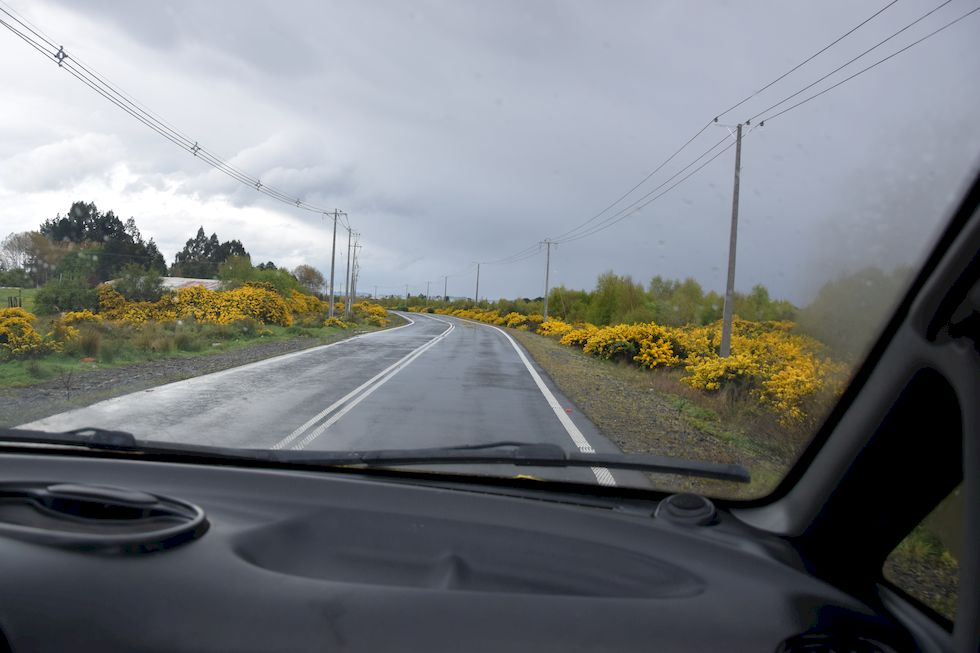 n61ap-0954-1-Weg-nach-Alerce-27-10-m.jpg