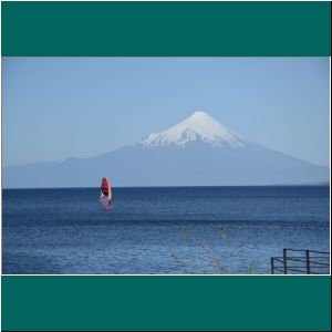 Surfer am Lago Llanquihue, 31.12.20