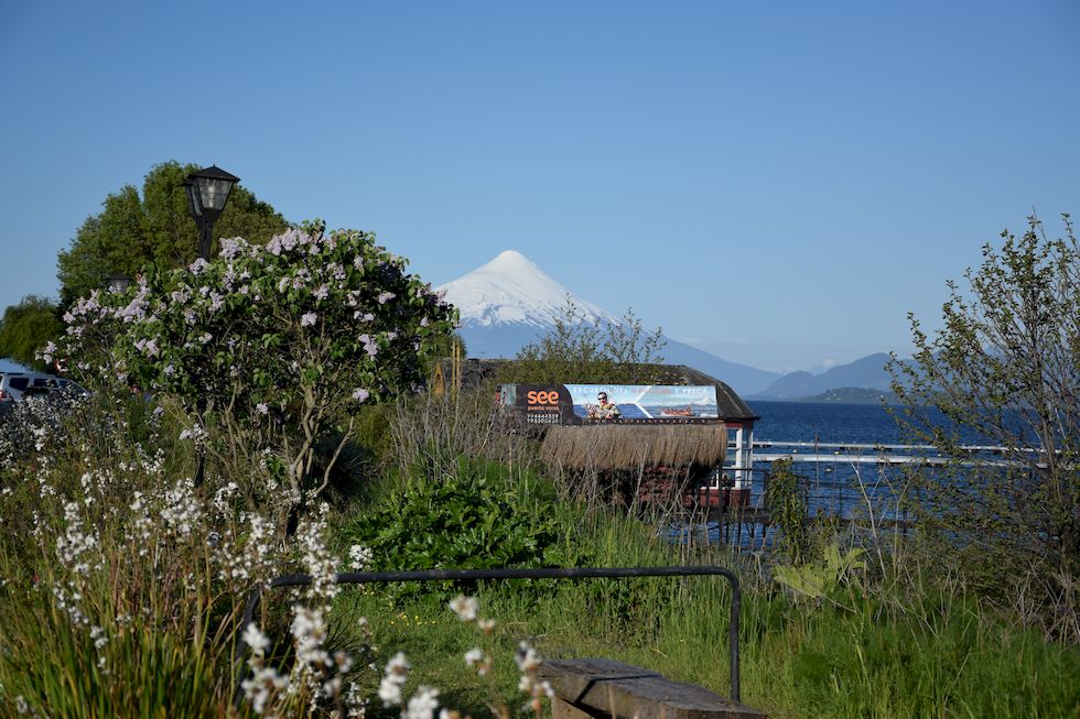 o15ap-0004-1-Lago-Llanquihue-Flieder-10-11-m.jpg