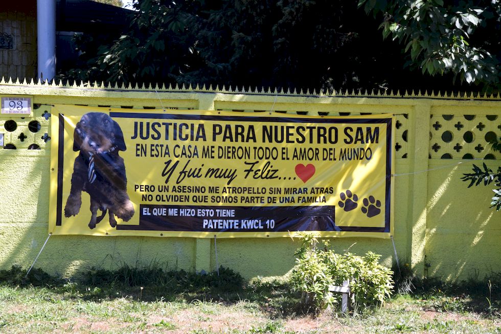 p56ap-0768-1-Justicia-para-nuestro-Sam-31-1-m.jpg