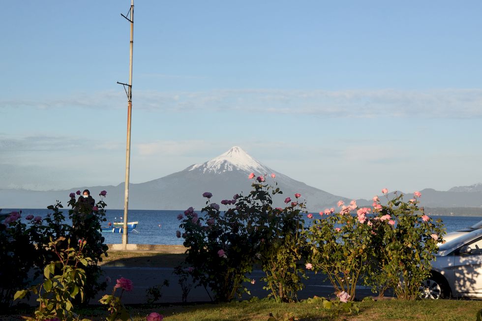 p75ap-0880-1-Osorno-Rosen-14-2-m.jpg