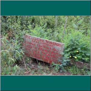 Cerro Philippi, Aromo europeo, 31.3.21