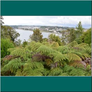 Cerro Philippi, Farne, Puerto Varas, 8.4.2021