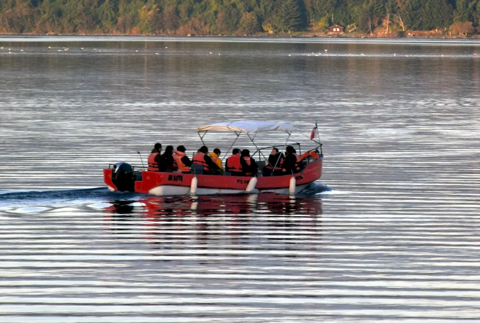 r25ap-0627-1-Ausflugsboot-am-Llanquihue-See-16-5-m.jpg