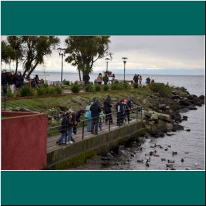 Puerto Varas, Mole, Enten, 11.7.21