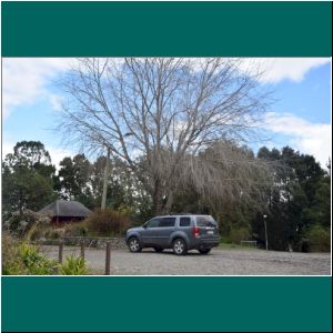 Puerto Varas, Cerro Philippi, 31.8.21