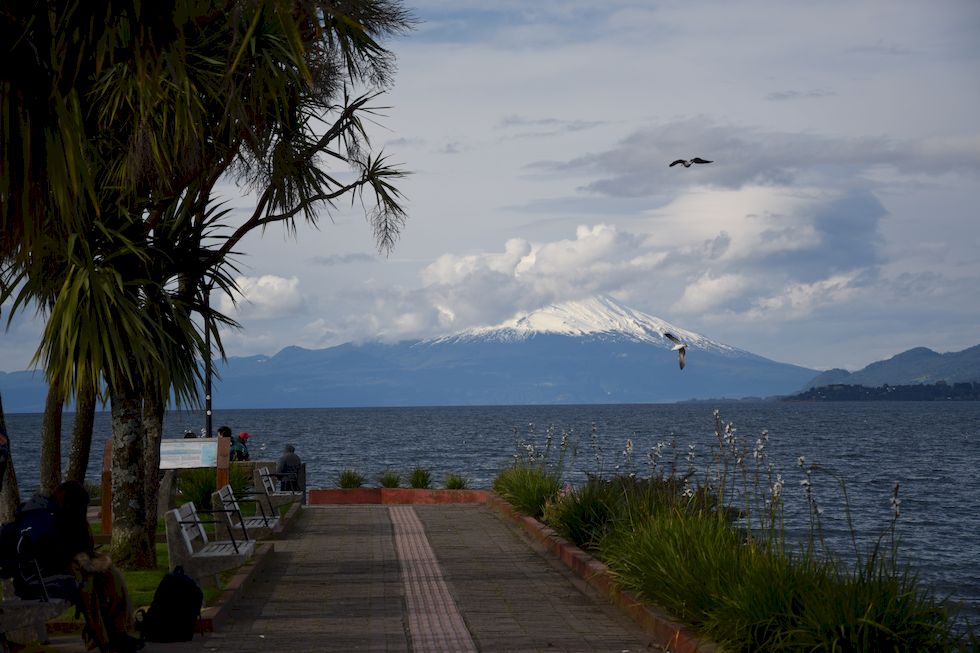 t12ap-0423-1-Mole-Puerto-Varas-6-9-m.jpg