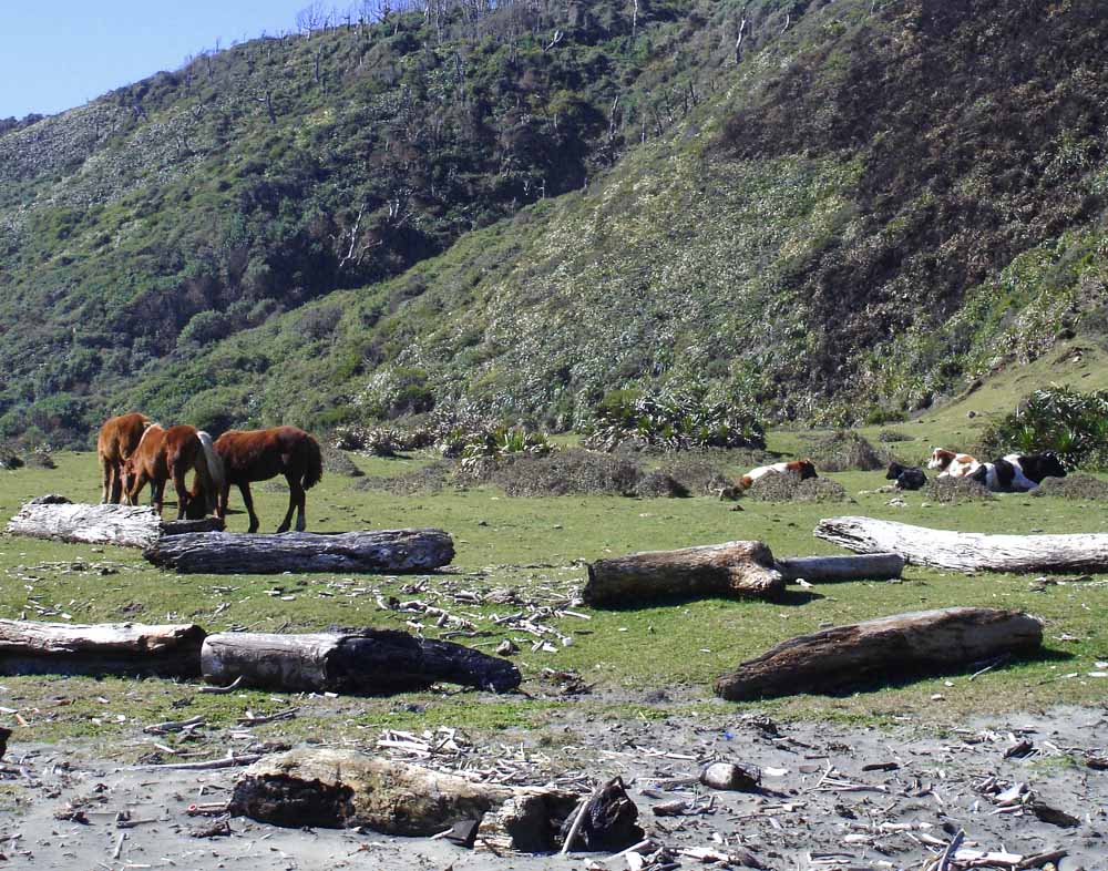 Pazifikstrand Hua Huar