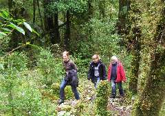 Weg nach La Junta, Valle Cochamó