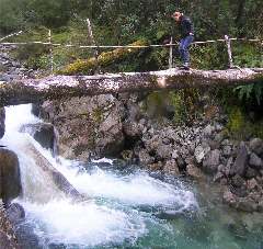 Valle de Cochamó, Lena