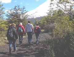 Trekking zum Paso Desolación