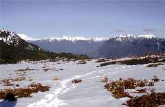 Paso Desolación zwischen Cerro La Picada und Vulkan Osorno