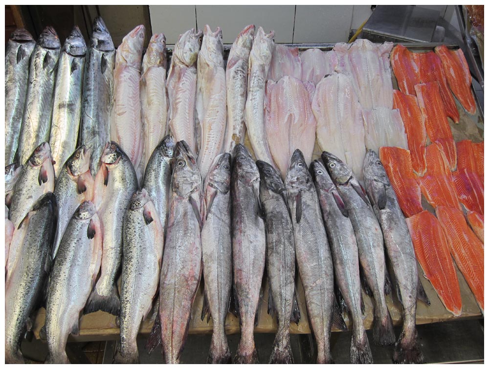 Fische am Fischmarkt in Puerto Montt Angelmó