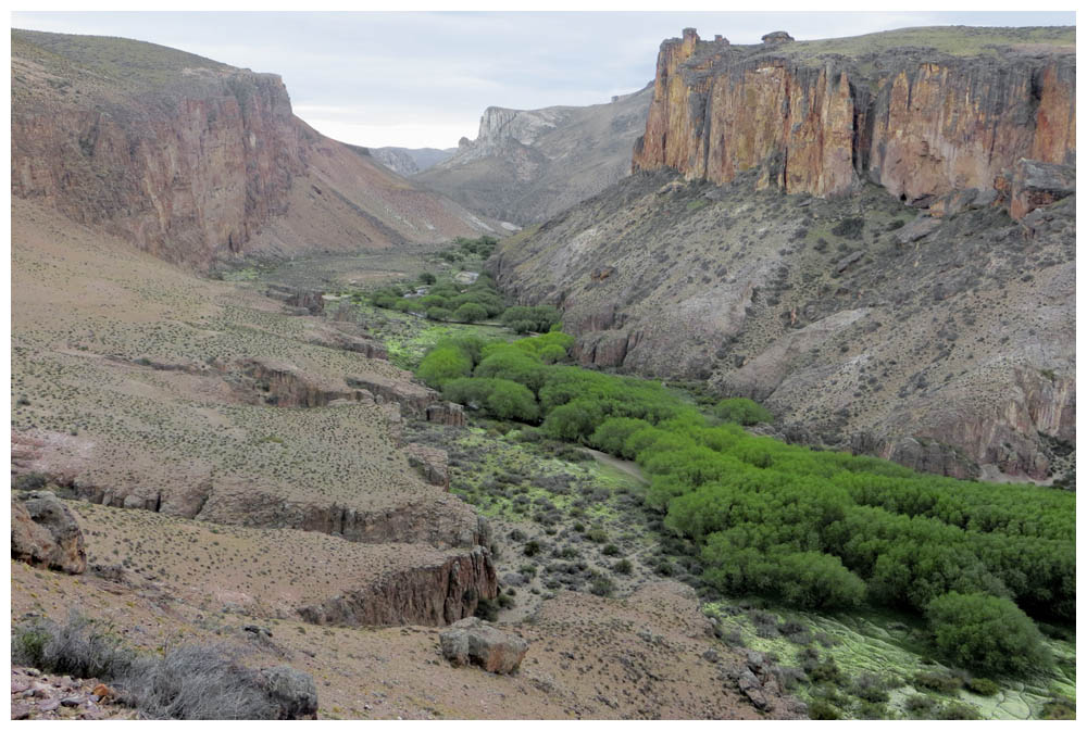 Cueva de las Manos bei Bajo Caracoles, Alto Rio Pinturas, Canyon Canadon del Rio Pinturas