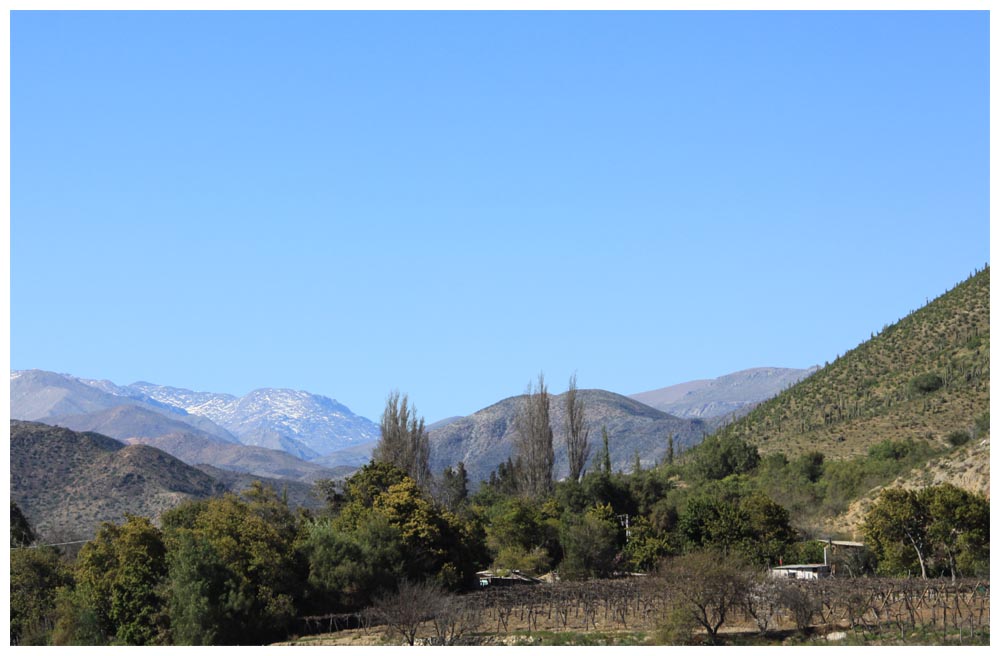 Valle de Elqui