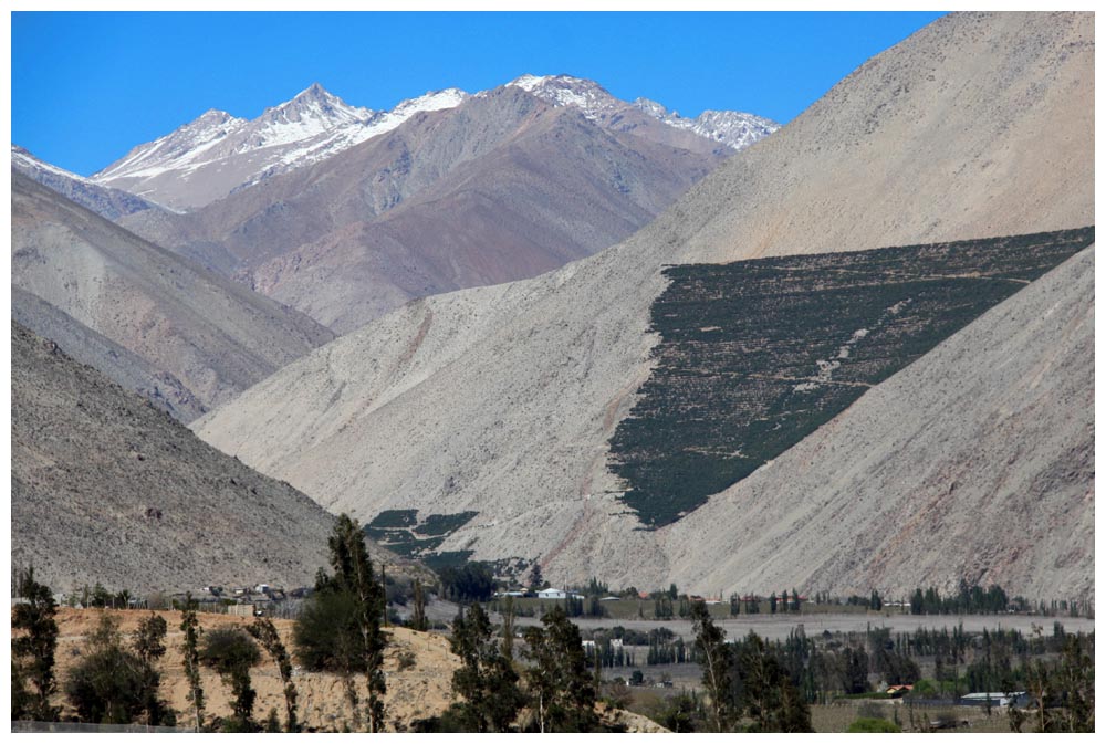 Im Valle de Elqui