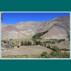 Valle de Elqui