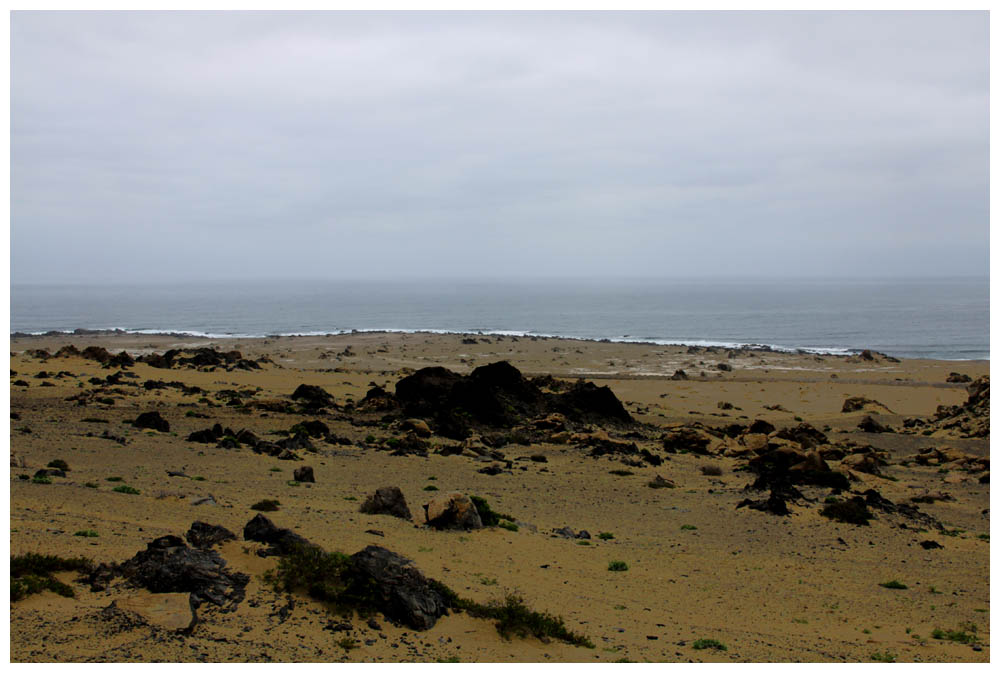 Chañaral, Nationalpark Pan de Azúcar