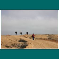 Nationalpark Pan de Azucar, Weg zu Las Lomitas