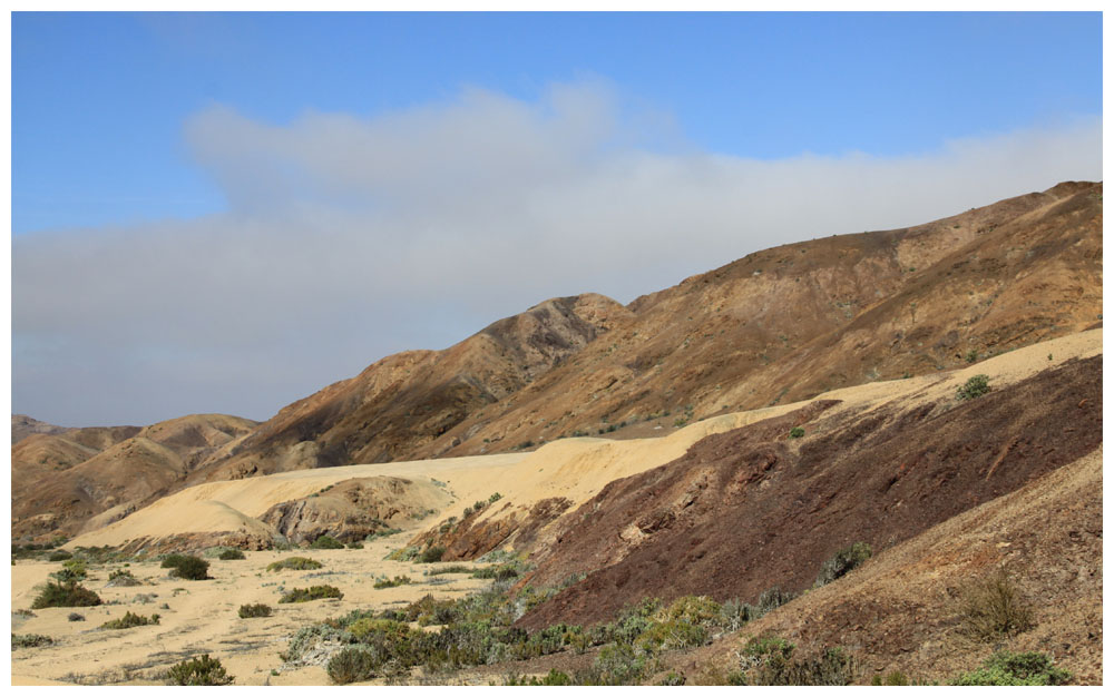 Im Nationalpark Pan de Azúcar