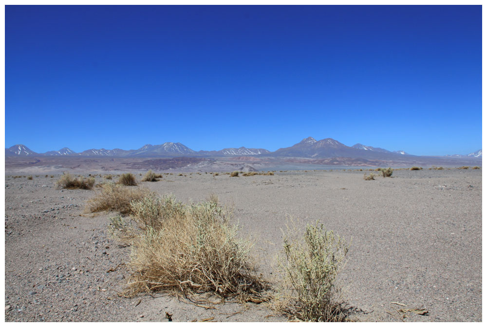 Salar de Atacama