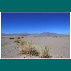 090-Salar-de-Atacama.jpg