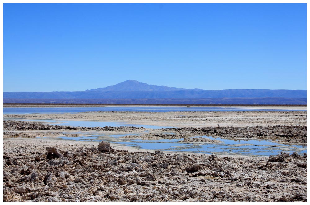 Salar de Atacama, Sektor Soncor