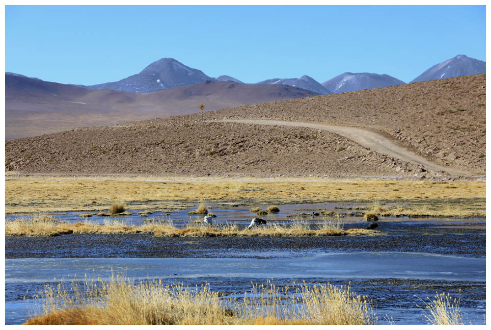 Río Putana, Vulkan Colorado und Vulkan Sairecabur