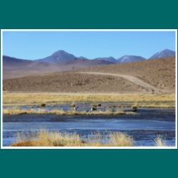 119-El-Tatio-Machuca.jpg