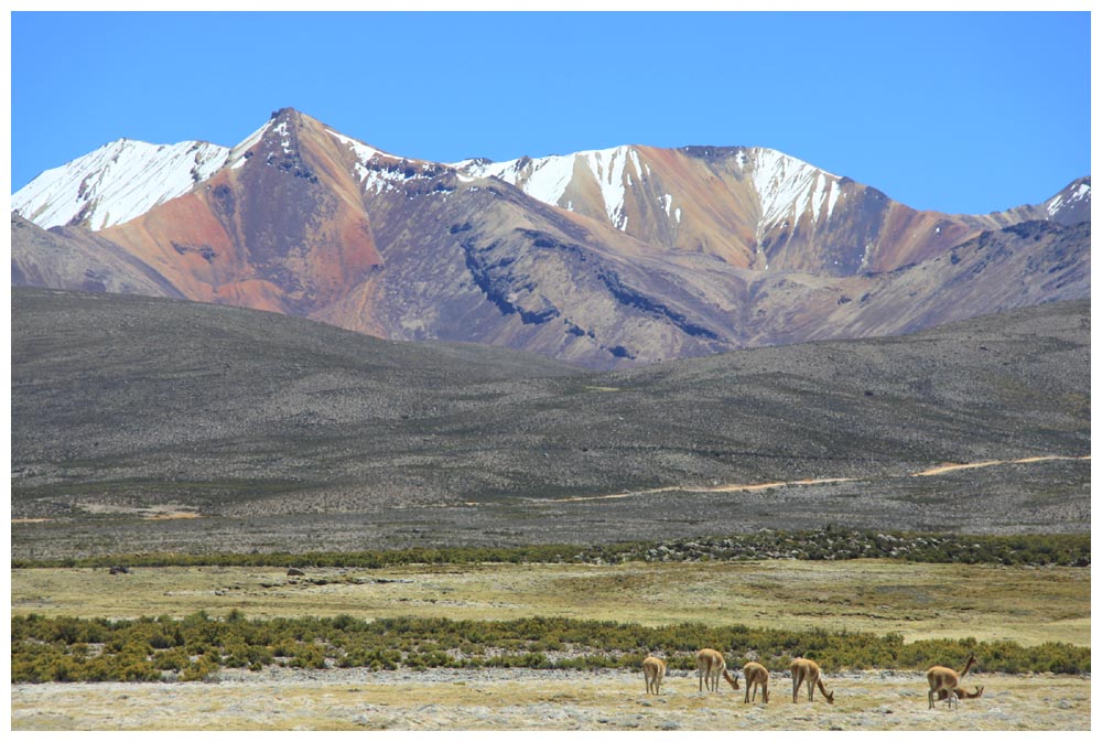 Lauca-Nationalpark