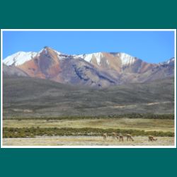 174-Lauca-Nationalpark.jpg