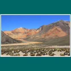 176-Lauca-Nationalpark.jpg