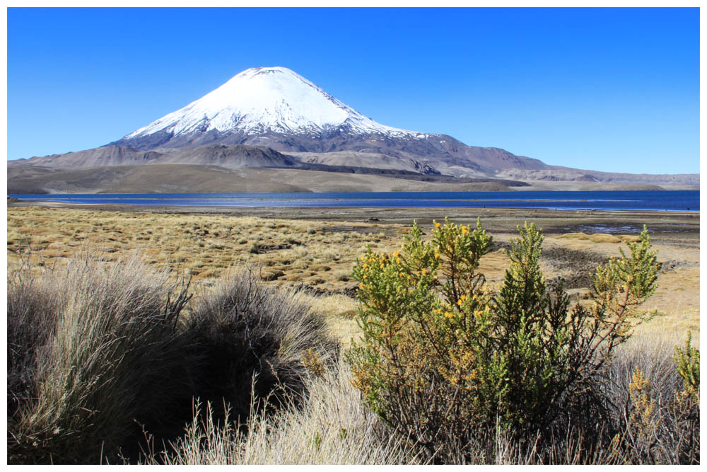 Lago Chungará und Vulkan Parinacota