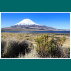 185-Lago-Chungara-Vn-Parinacota.jpg