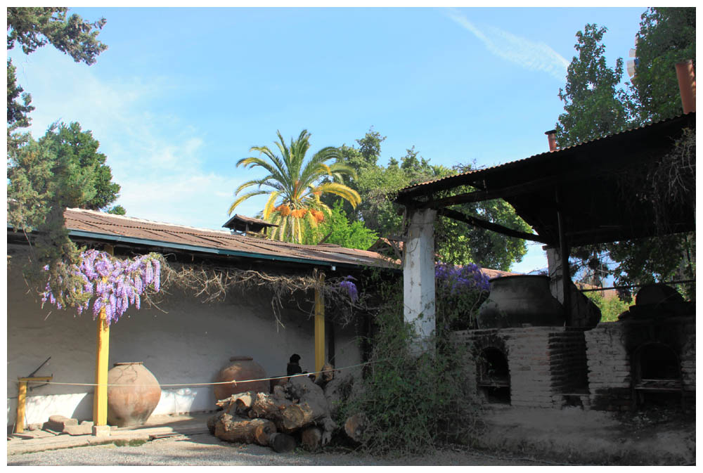 Weingut in Chile, Viña Sánchez De Loria