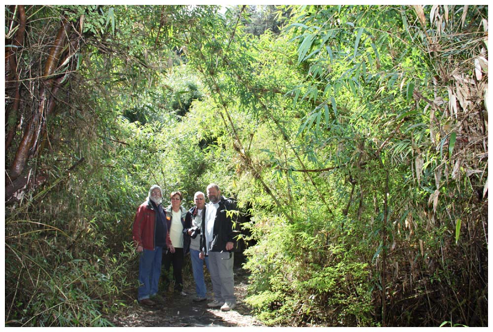 Wanderung zum Wasserfall bei Las Cascadas