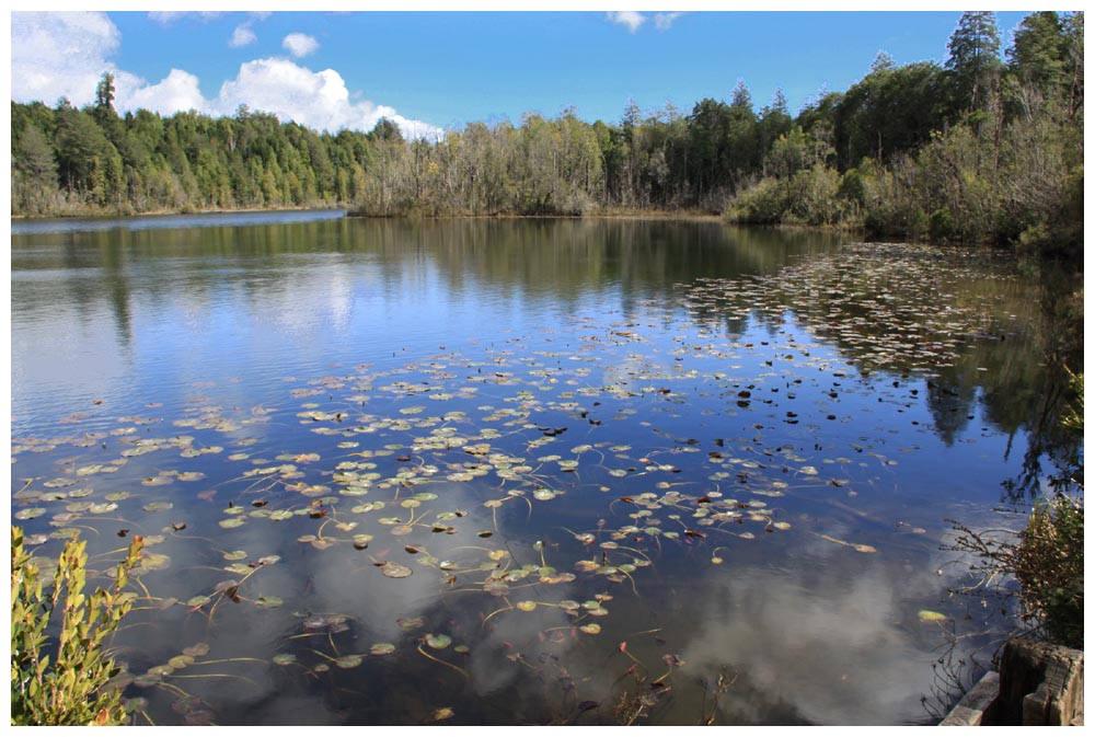 Laguna Espejo bei Aguas Calientes