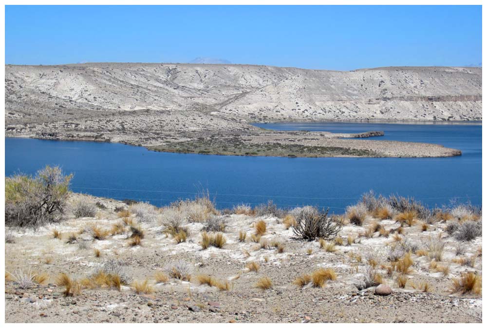 Stausee Alicura beim Río Limay