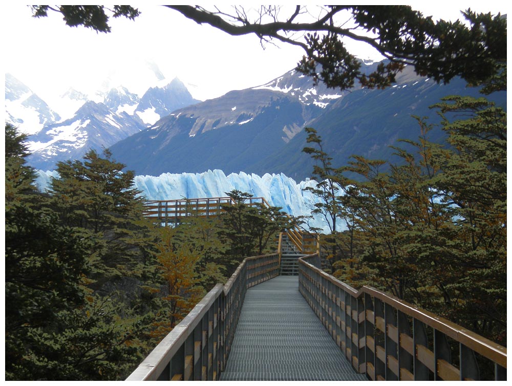  Glaciar Perito Moreno