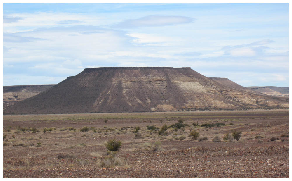 Monumento Natural Bosque Petrificado Jaramillo