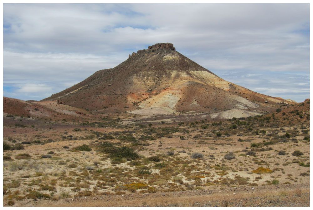 Monumento Natural Bosque Petrificado Jaramillo